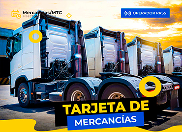 Vehiculos con Tarjetas de Mercancías y Autorizaciones para el Transporte